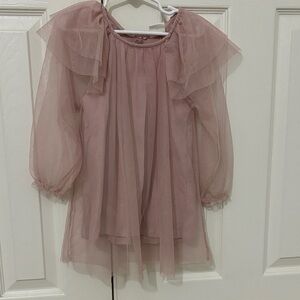 Zara Blush Sheer Dress